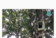 Tangerang Selatan Kebut Perbaikan 39 Titik PJU di Bulan Ramadan