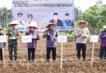 Apresiasi DPKP, Wabup Intan Berikan Bantuan Sarana Produksi ke Kelompok Tani di Tigaraksa