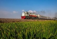 Jalur KA Rangkasbitung-Pandeglang Banten Bakal Diaktifkan Lagi