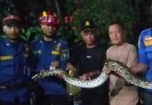 Sepanjang Libur Lebaran, BPBD Kota Tangerang Layani 34 Pengaduan Pelayanan