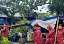 Disbudpar Kota Tangerang Siagakan Penanganan Pohon Tumbang Pasca Lebaran