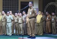 Kabar Gembira, 3.424 Pegawai Pemerintah dengan Perjanjian Kerja (P3K) Segera Diangkat