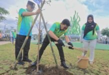 Rangkaian Munas APEKSI VII, Sachrudin Ikut Aksi Tanam Pohon Bersama Wali Kota se-Indonesia