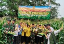 Kolaborasi TNI dan DKP Kota Tangerang Hasilkan Panen Jagung di Lahan Kosong Markas Yonif 203