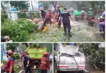 BPBD Kota Tangerang Cepat Tanggap Tangani Pohon Tumbang di Jalan TMP Taruna