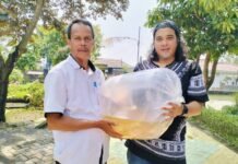 Gandeng Pokja WHTR, DKP Kota Tangerang Bangun Ketahanan dan Kemandirian Pangan Masyarakat