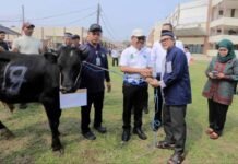 Dukung Budaya Berbagi, Wali Kota Hadiri Penyerahan Hewan Kurban dari RSUP Dr. Sitanala