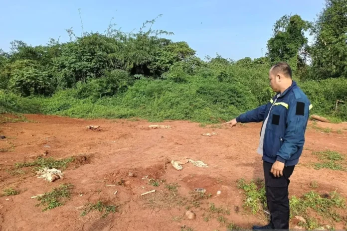 Misteri Makam Jengkol: Kerangka Lama Ditemukan di Tengah Proyek Suvarna Sutera