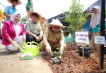 Tekan Inflasi, Wali Kota Benyamin Dorong Gerakan Tanam Serentak dengan Target Panen 7 Ton Cabai dan Terong Tekan Inflasi, Wali Kota Benyamin Dorong Gerakan Tanam Serentak dengan Target Panen 7 Ton Cabai dan Terong