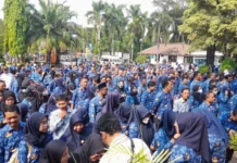 Nasib 59 Honorer Kota Cilegon Tak Jelas Usai Gagal Diajukan PPPK Paruh Waktu Nasib 59 Honorer Kota Cilegon Tak Jelas Usai Gagal Diajukan PPPK Paruh Waktu