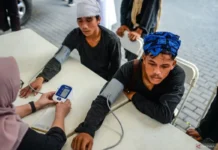 Badui Tak Lagi Khawatir Gigitan Ular: Serum ABU Kini Tersedia di Semua Puskesmas Penyangga Badui Tak Lagi Khawatir Gigitan Ular: Serum ABU Kini Tersedia di Semua Puskesmas Penyangga