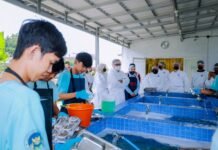 Tangsel Siap Jadi Role Model Pelaksanaan Program Makan Bergizi Gratis Tangsel Siap Jadi Role Model Pelaksanaan Program Makan Bergizi Gratis