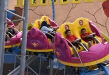 Guru Bisa Masuk Ancol Gratis! Ini Syarat dan Mekanismenya Guru Bisa Masuk Ancol Gratis! Ini Syarat dan Mekanismenya