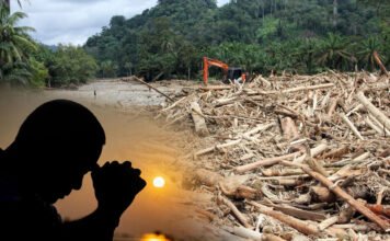 Ilmu yang Kehilangan Cahaya: Membaca Banjir Sumatra dengan Konsep Al-‘Ilmu Nūr dan Nūrun ‘Alā Nūr Ilmu yang Kehilangan Cahaya: Membaca Banjir Sumatra dengan Konsep Al-‘Ilmu Nūr dan Nūrun ‘Alā Nūr