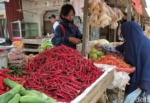 Harga Kebutuhan Pokok di Pandeglang Merangkak Naik Jelang Nataru Harga Kebutuhan Pokok di Pandeglang Merangkak Naik Jelang Nataru