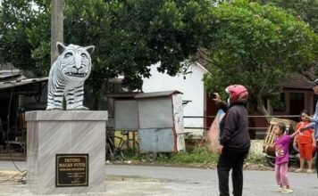 Ramai Dibicarakan Warganet, Patung Macan Putih Ikon Desa Balongjeruk Jadi Tontonan Ramai Dibicarakan Warganet, Patung Macan Putih Ikon Desa Balongjeruk Jadi Tontonan
