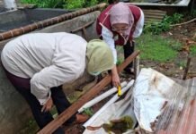 Satu Jam per Minggu untuk Selamatkan Keluarga dari DBD