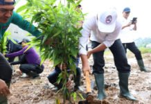 Tanam Bambu, Pemkab Tangerang Sulap Cisoka Jadi Ruang Hijau dan Wisata Warga