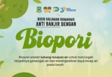 Biopori di Pekarangan, Cara Sederhana Cegah Genangan