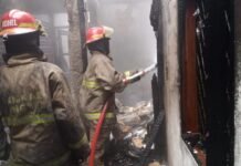 Asap Membumbung di Bukit Cireundeu, Damkar Tangsel Bergerak Cepat Padamkan Kobaran