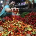 Dari Rp120 Ribu Kini Melandai, Bapanas Pastikan Harga Cabai Berangsur Stabil