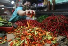 Dari Rp120 Ribu Kini Melandai, Bapanas Pastikan Harga Cabai Berangsur Stabil