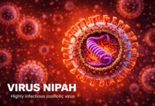 Belum Ada Kasus Nipah, Dinkes Tangerang Perkuat Kesiapsiagaan