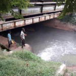 Pasca Kebakaran Gudang Pestisida BSD, DLH Tangsel Pastikan Udara Masih Aman