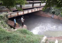 Pasca Kebakaran Gudang Pestisida BSD, DLH Tangsel Pastikan Udara Masih Aman