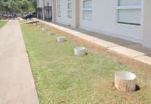 Dari Halaman Rumah ke Seluruh Kota: Gerakan 1.000 Biopori Tangsel Siap Tekan Gunungan Sampah