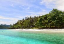 Pulau Dijual Rp65 Miliar? Fakta di Baliknya Lebih Mengejutkan!