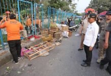 Wali Kota Turun Langsung! PKL di Badan Jalan Ditata Demi Lebaran Lebih Tertib
