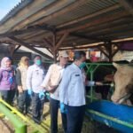 Tak Penuhi Standar Kesehatan, Hewan Kurban di Kabupaten Tangerang Dilarang Dijual