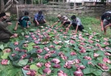 Bukan Hanya Kurban, Benyamin Minta Warga Tangsel Kurangi Sampah Plastik saat Iduladha