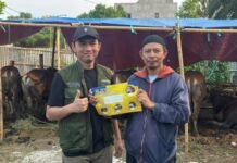 Pemkot Tangerang Warning Penjual Nakal, Hewan Kurban Tanpa SKKH Bakal Diawasi Ketat