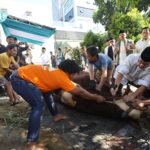 Tak Hanya Serahkan Kurban, Pilar Saga Ichsan Ikut Menyembelih Hewan Bersama Warga Tangsel