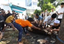 Tak Hanya Serahkan Kurban, Pilar Saga Ichsan Ikut Menyembelih Hewan Bersama Warga Tangsel