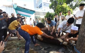 Tak Hanya Serahkan Kurban, Pilar Saga Ichsan Ikut Menyembelih Hewan Bersama Warga Tangsel