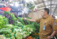 Iduladha Makin Dekat, Pemkot Tangsel Bongkar Kondisi Harga dan Stok Pangan di Pasar Delapan