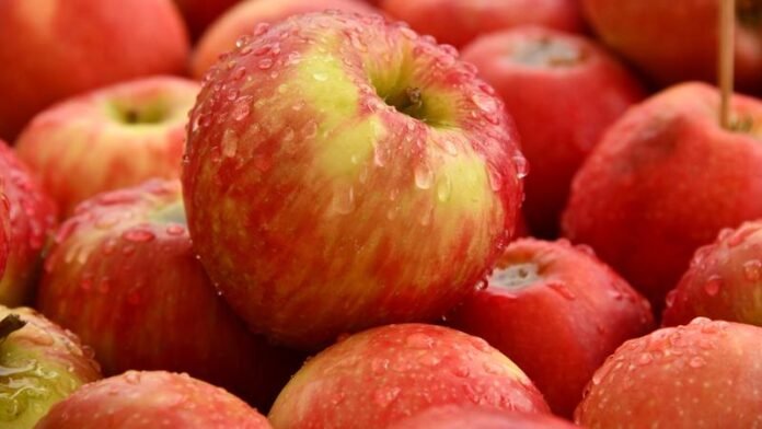 BUAH APEL 01