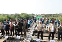 Bupati Maesyal dan Jurnalis Tanam 10 Ribu Mangrove di Mauk, Selamatkan Pesisir dari Ancaman Abrasi