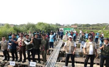 Bupati Maesyal dan Jurnalis Tanam 10 Ribu Mangrove di Mauk, Selamatkan Pesisir dari Ancaman Abrasi