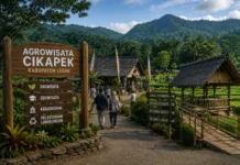 Tak Hanya Sawarna dan Baduy, Agrowisata Lebak Mulai Tumbuh Jadi Mesin Ekonomi Desa