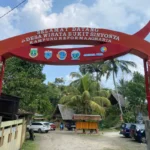 Lupakan Pantai Sejenak! Agrowisata Pandeglang Tawarkan Sensasi Panen Langsung dari Kebun