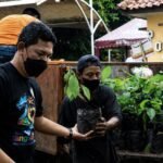 Bank Pohon Tangerang, Cara Mudah Bikin Rumah Lebih Hijau