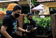 Bank Pohon Tangerang, Cara Mudah Bikin Rumah Lebih Hijau