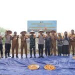 Panen Jagung di Batusari, Ketahanan Pangan Diperkuat