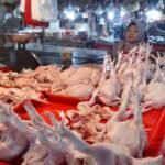 Ayam Jadi Penyumbang Inflasi, Pemkot Tangerang Perketat Pantauan Harga