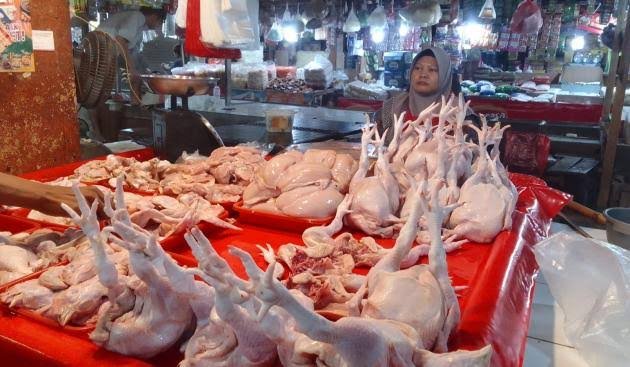 AYAM POTONG DI KOTA TNG 01