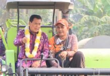 Petani Mauk Dikejar Target Tanam 14 Hari, Potensi Gabah Tembus 1.705 Ton!